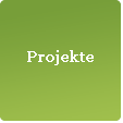 diskunst-projekt